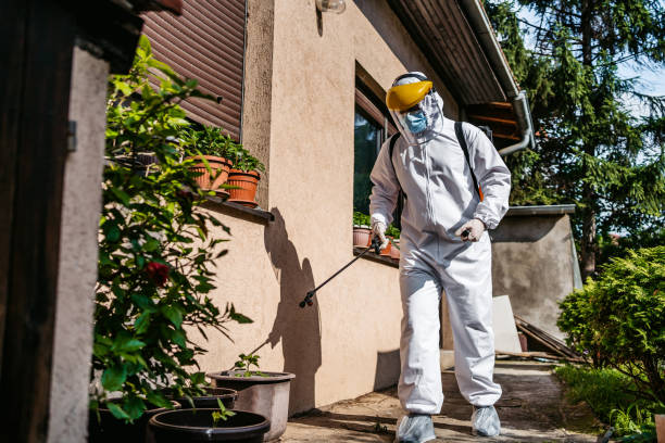 Best Best Pest Control Near Me  in Omak, WA