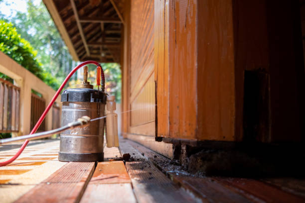 Best Bed Bug Extermination  in Omak, WA