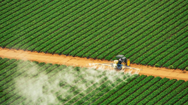 Best Pest Control for Businesses  in Omak, WA