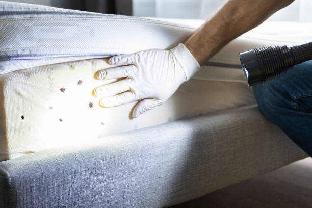 Best Pest Control for Homes  in Omak, WA